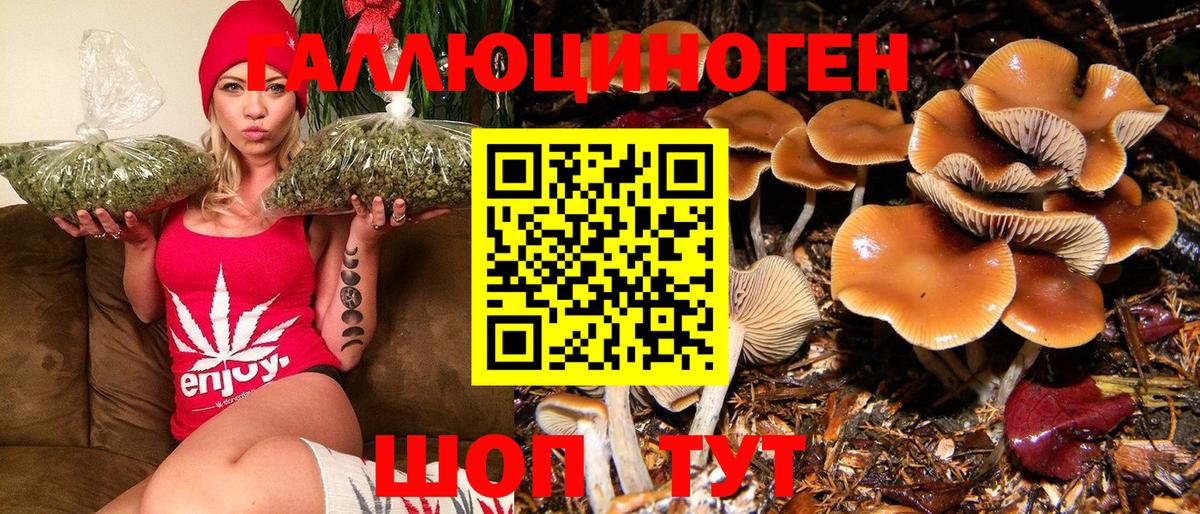 Галлюциногенные грибы прущие грибы  Галлюциногенные грибы MAGIC MUSHROOMS  Фрязино  Вход с VPN 