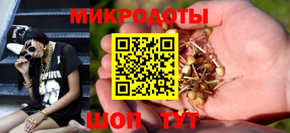 Галлюциногенные грибы MAGIC MUSHROOMS Фрязино