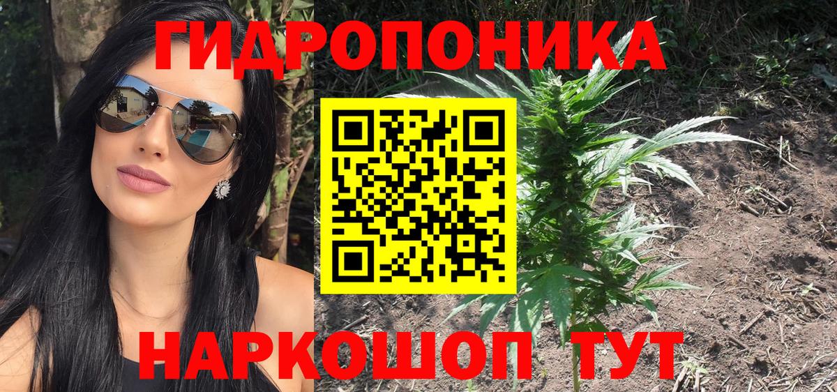 Бошки Шишки White Widow Фрязино